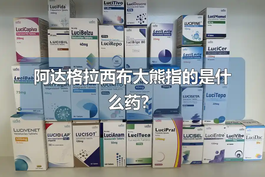 阿达格拉西布大熊指的是什么药？