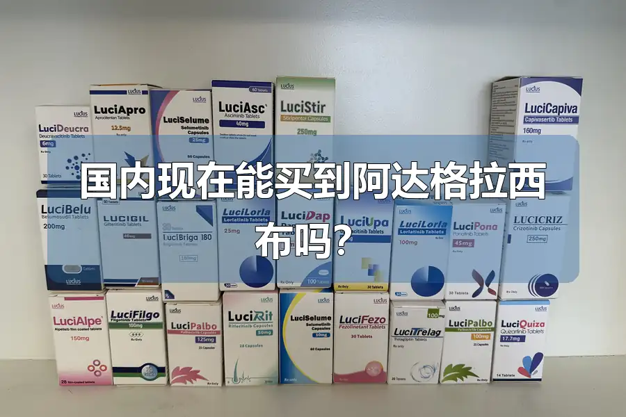 国内现在能买到阿达格拉西布吗？