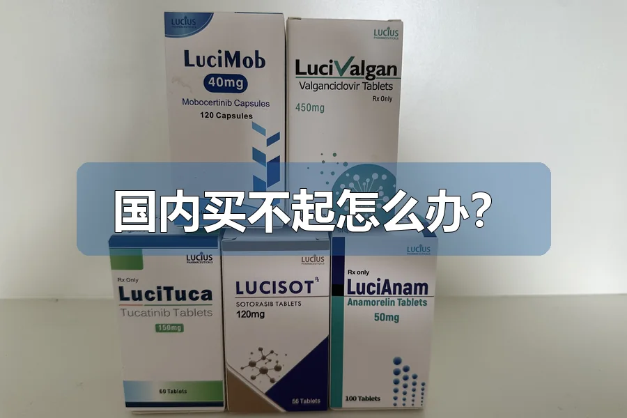 国内买不起怎么办?